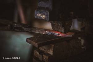 Jérémie MOLARO - F & F PHOTOGRAPHIE